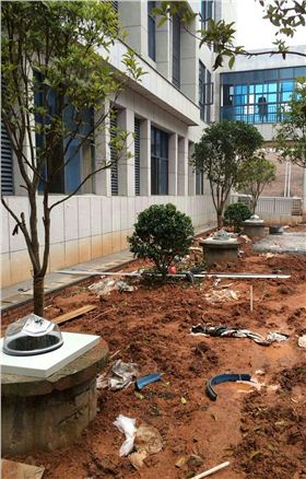 鉆石形采光器 鉆石形采光器