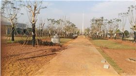 采光陽光中 采光陽光中