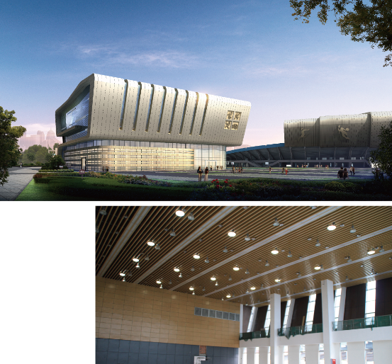 導(dǎo)光管采光系統(tǒng)在雅安體育館應(yīng)用 導(dǎo)光管采光系統(tǒng)在雅安體育館應(yīng)用